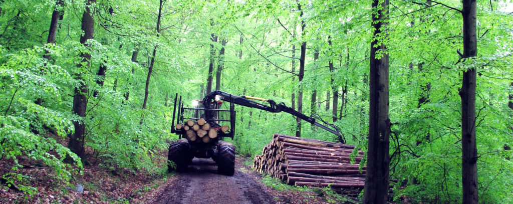 holzrücken saarholz