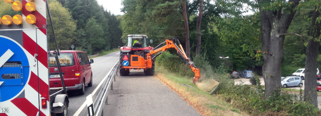 Wurzelstockfräsung am Straßenrand